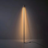 Minimalist Wooden and Acrylic Linear LED Floor Light Image - 2