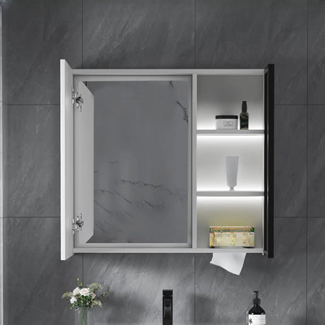 Mirrored Interior Surface Mounted Large Medicine Cabinet Image - 2