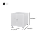 Mobile Office Storage Steel Cabinet with Adjustable Shelves Image - 16