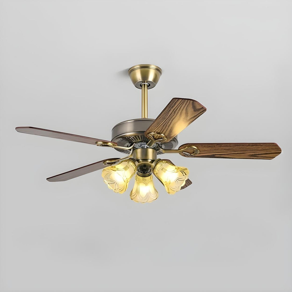 Modern 5 Blade Frosted Glass Shade Chandelier Fan Light Image - 13