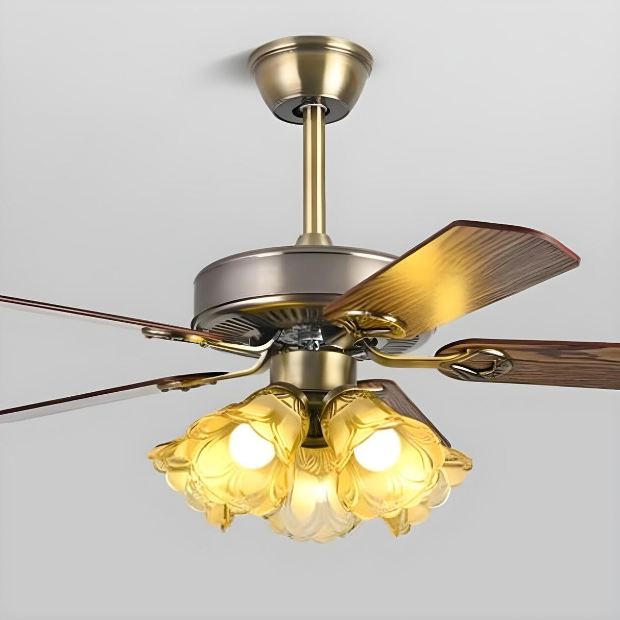 Modern 5 Blade Frosted Glass Shade Chandelier Fan Light Image - 14