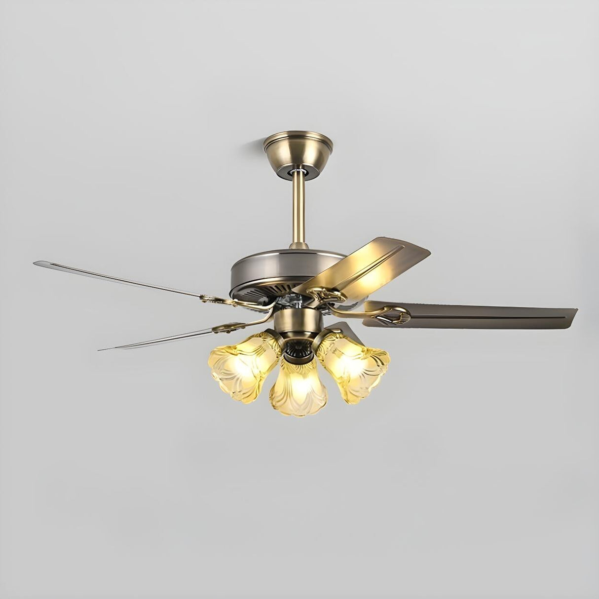 Modern 5 Blade Frosted Glass Shade Chandelier Fan Light Image - 15