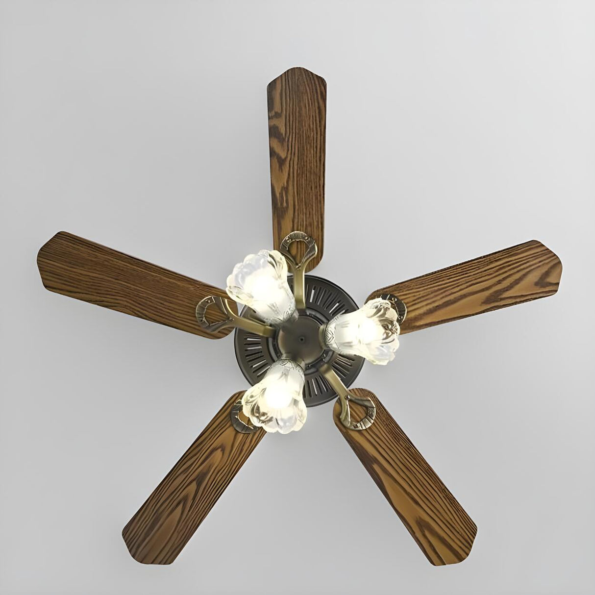 Modern 5 Blade Frosted Glass Shade Chandelier Fan Light Image - 19