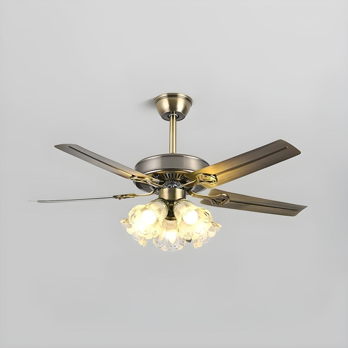 Modern 5 Blade Frosted Glass Shade Chandelier Fan Light Image - 2