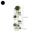 Modern 5 Tiers Metal Curved Indoor Plant Stand White Image - 15