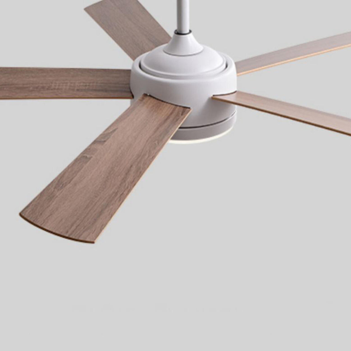 Modern 5 Wood Blades Standard LED Ceiling Fan Light Image - 9