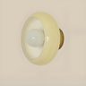 Modern Amber Glass Shade Globe Wall Sconce Light Image - 11