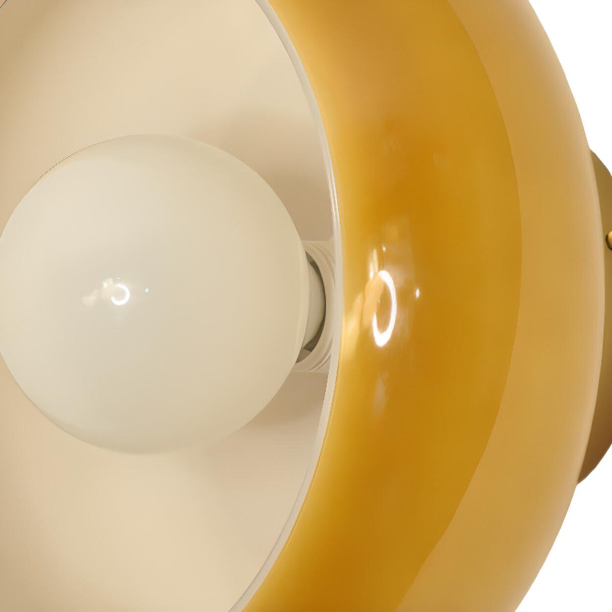 Modern Amber Glass Shade Globe Wall Sconce Light Image - 12