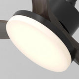 Modern Black 5 Blade Standard LED Ceiling Fan Light Image - 11