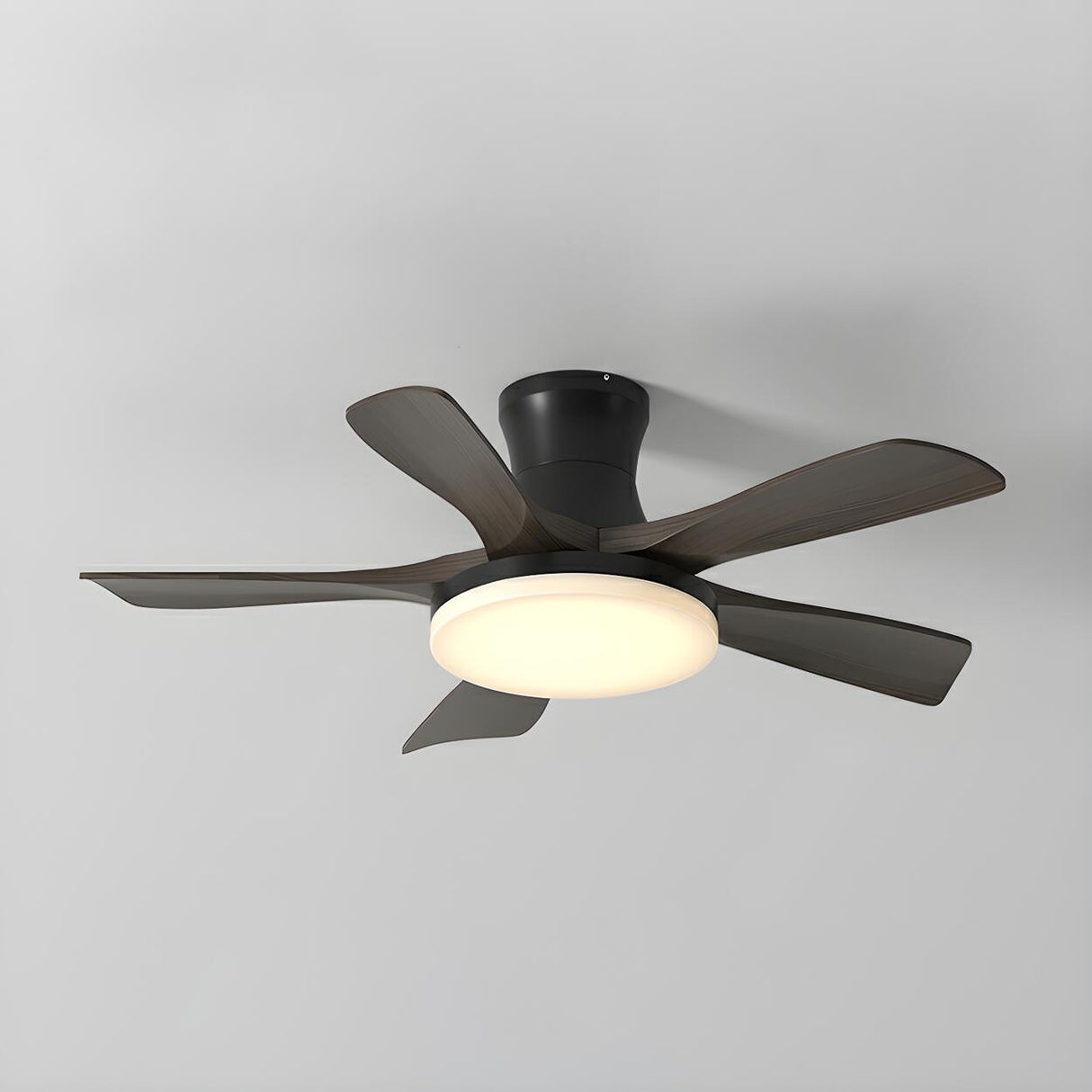 Modern Black 5 Blade Standard LED Ceiling Fan Light Image - 7