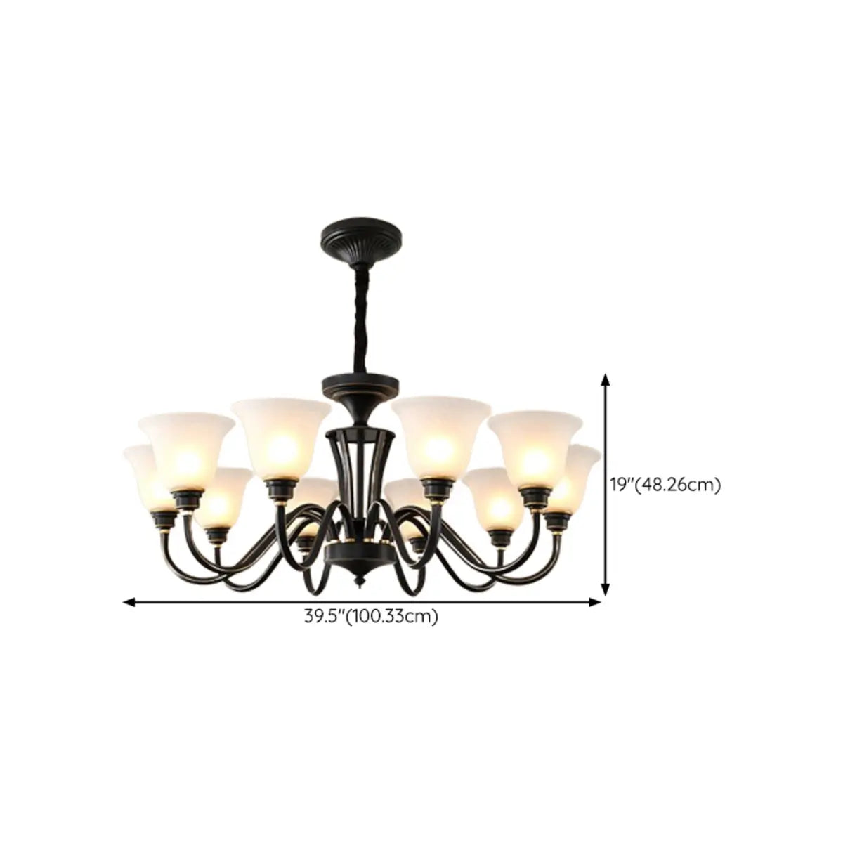 Modern Black Iron Ceiling Chandelier with Glass Shades Image - 24