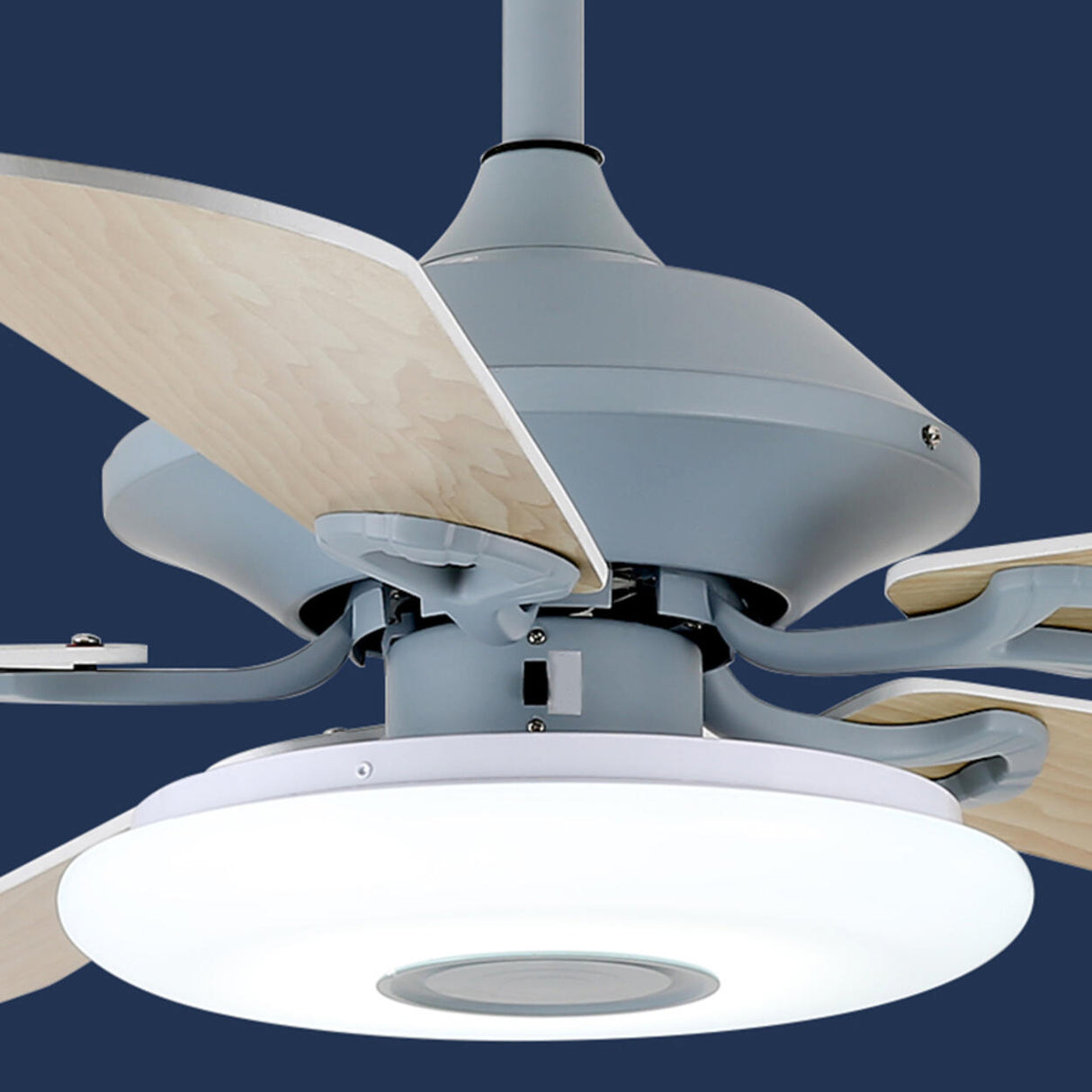 Modern Blue 5 Blade Metal Ceiling Fan with LED Light Image - 9