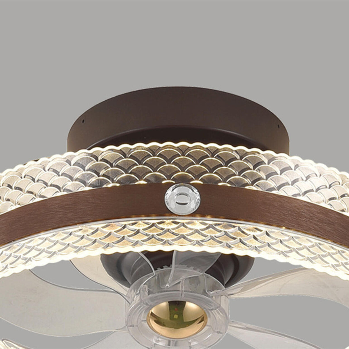 Modern Brown Round Clear Blade LED Ceiling Fan Light Image - 10