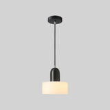 Modern Chic Opalescent Glass Dome Pendant Light Image - 1