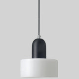 Modern Chic Opalescent Glass Dome Pendant Light Image - 8