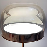 Modern Chrome Clear Glass Dome LED Bulb Floor Lamp Image - 11