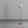 Modern Chrome Clear Glass Dome LED Bulb Floor Lamp Image - 7