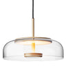 Modern Clear Glass and Metal Dome Pendant Light Set Image - 5