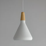 Modern Cone Conical Aluminum Pendant Light Flexible Length Image - 6