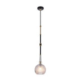 Modern Elegant Black Clear Glass Globe Pendant Light Image - 2