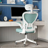 Modern Ergonomic Mesh Blue Adjustable Back Office Chair Image - 14