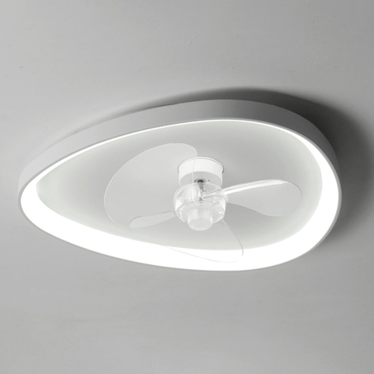 Modern Flush Mounted Ring Ceiling Fan with LED Light Image - 7