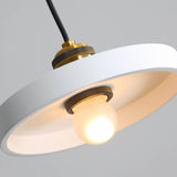 Modern Geometric Dual Tone Alloy Pendant Light Image - 11