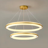 Modern Gold Double Acrylic Ring Chandelier Adjustable Height Image - 10