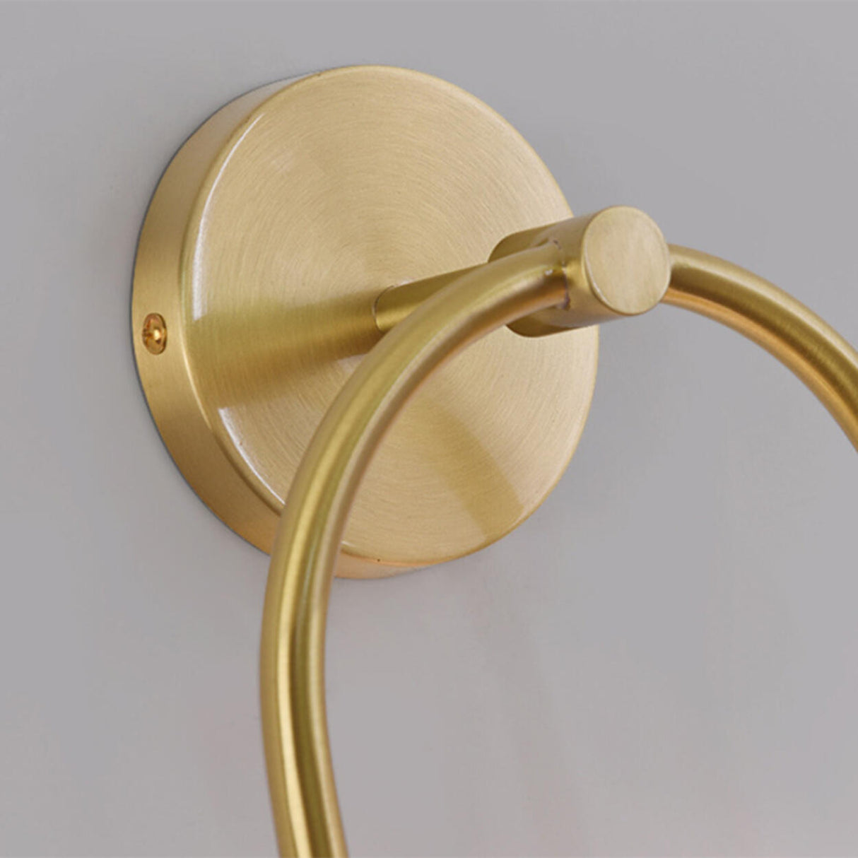 Modern Gold Frosted Glass Globe Metal Wall Sconce Image - 10