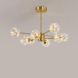 Modern Gold Globe Clear Glass Bubble Branch Chandelier Image - 11