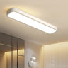 Modern Hallway White Rectangle LED Flush Mount Light Image - 1