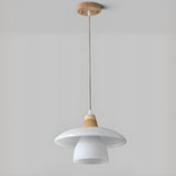 Modern Layered Frosted Glass Dome Pendant Light Image - 6