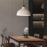 Modern Matte White Dome Cast Iron Pendant Light Image - 4