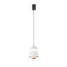 Modern Metal LED Pendant Light Flexible Length Image - 3