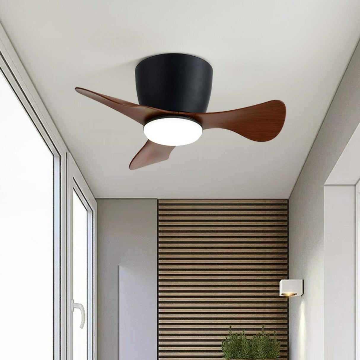 Modern Mini Cone 3 Blade Ceiling Fan with LED Light Image - 1