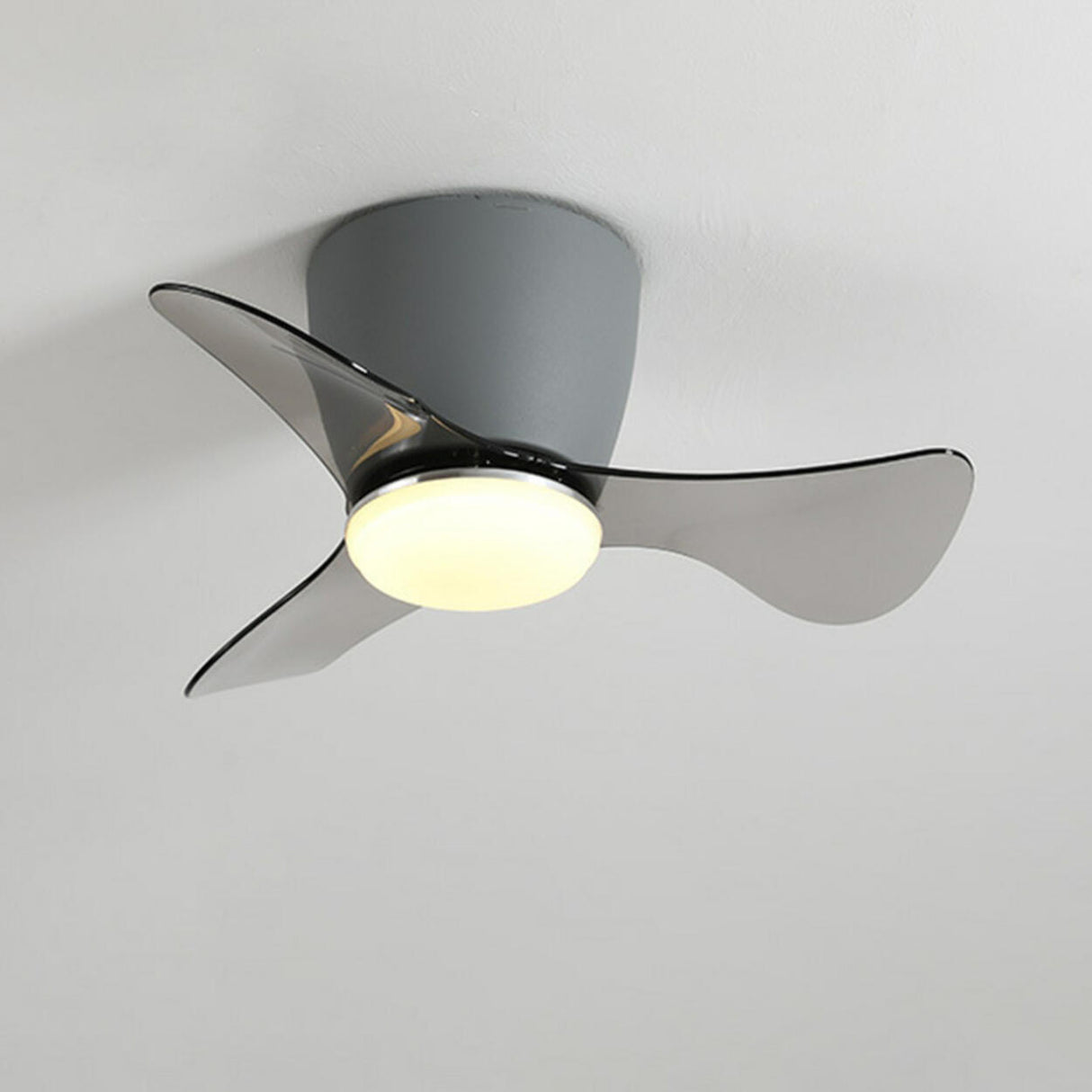 Modern Mini Cone 3 Blade Ceiling Fan with LED Light Image - 14