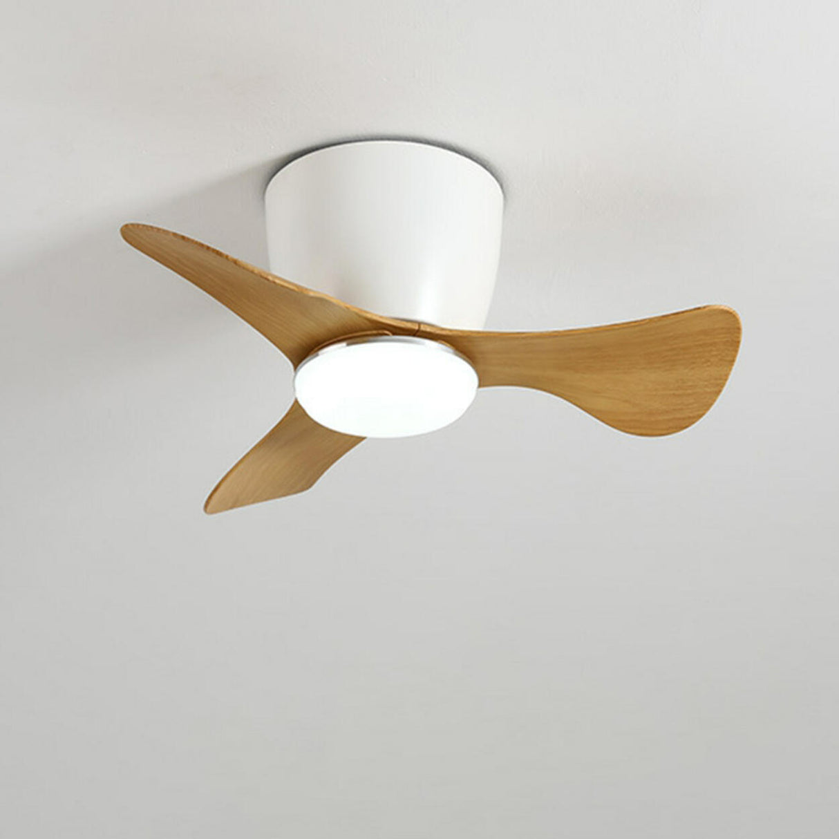 Modern Mini Cone 3 Blade Ceiling Fan with LED Light Image - 16