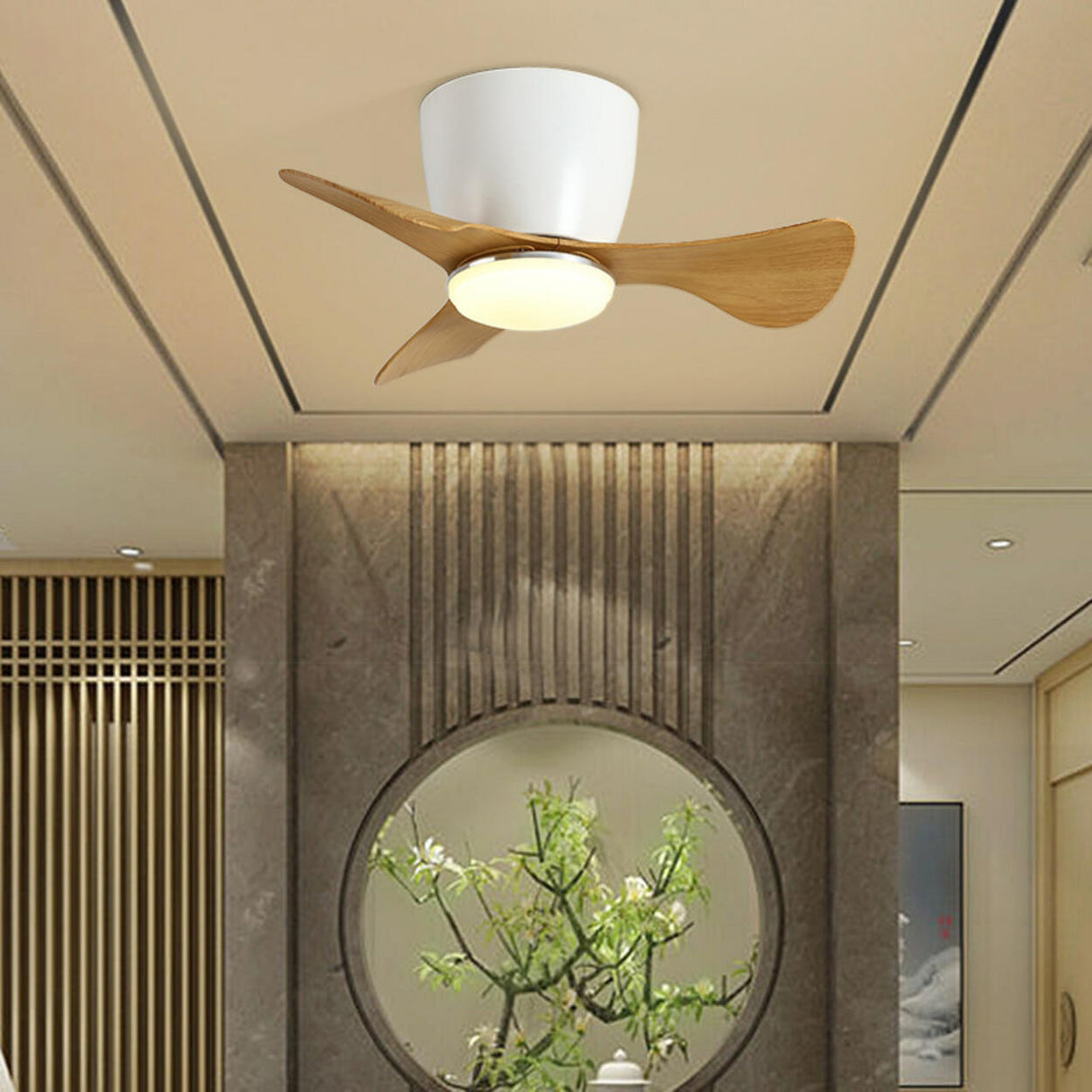 Modern Mini Cone 3 Blade Ceiling Fan with LED Light Image - 8