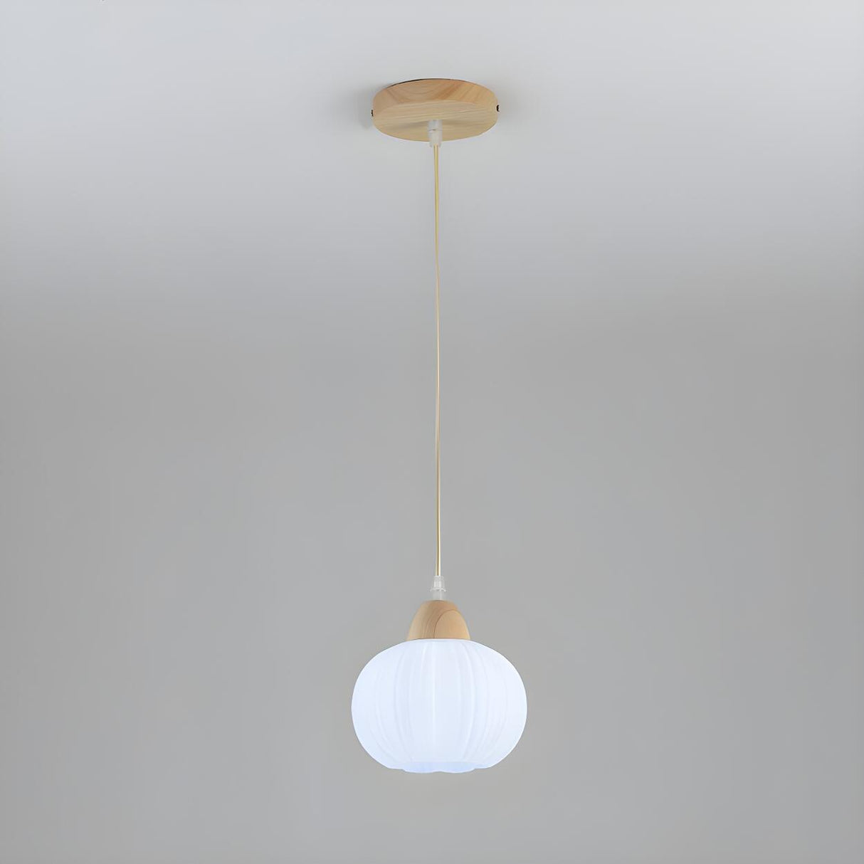 Modern Minimalist Acrylic Globe Pendant Light Image - 2