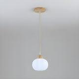 Modern Minimalist Acrylic Globe Pendant Light Image - 2