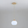 Modern Minimalist Acrylic Globe Pendant Light Image - 2