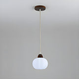 Modern Minimalist Acrylic Globe Pendant Light Image - 3