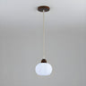 Modern Minimalist Acrylic Globe Pendant Light Image - 3