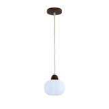 Modern Minimalist Acrylic Globe Pendant Light Image - 7