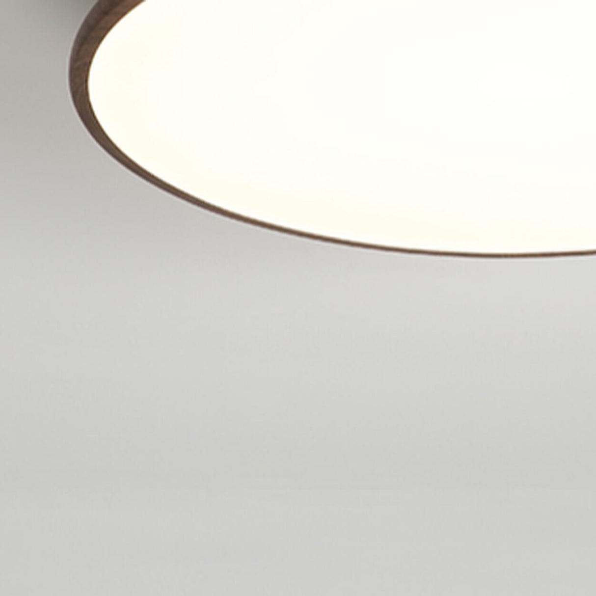 Modern Minimalist Circle Walnut Flush Mount Light Image - 15