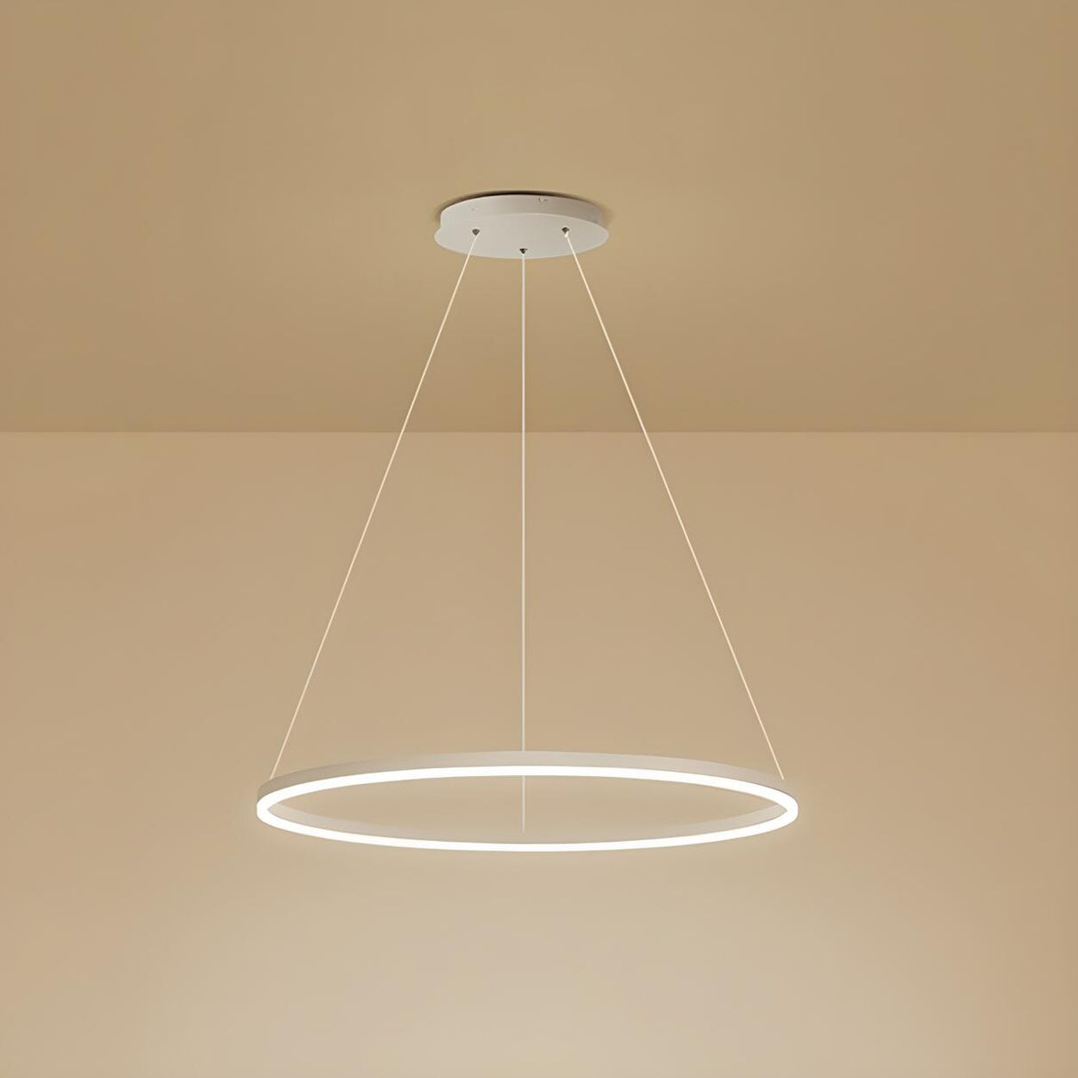 Modern Minimalist Circular LED Dining Room Pendant Light Image - 10