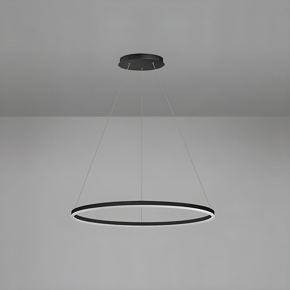 Modern Minimalist Circular LED Dining Room Pendant Light Image - 11