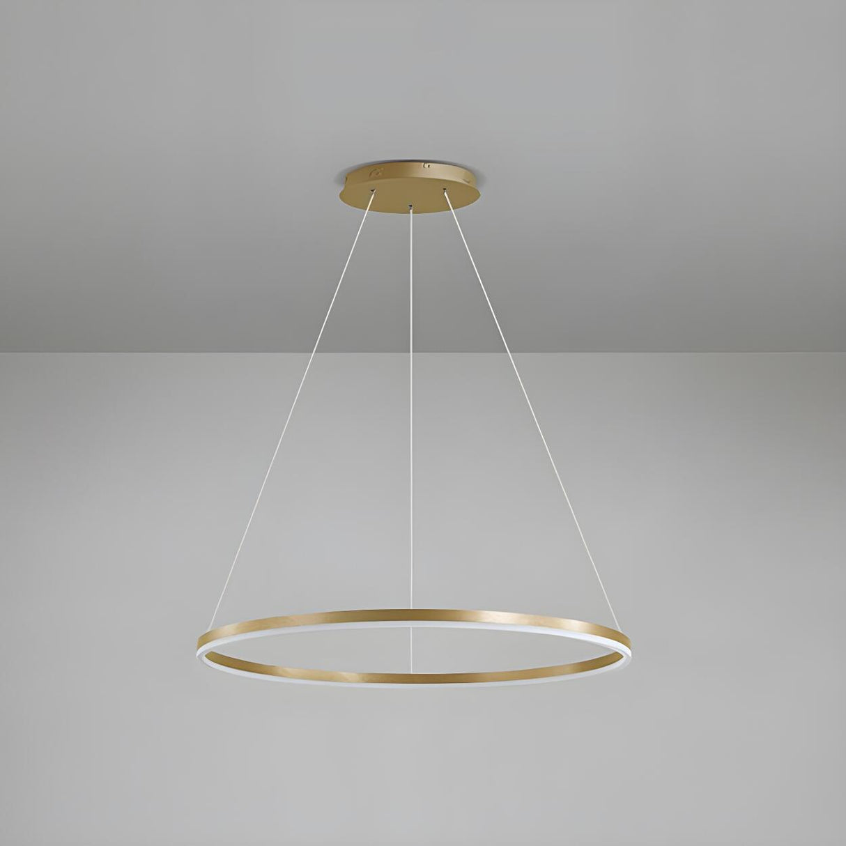 Modern Minimalist Circular LED Dining Room Pendant Light Image - 12