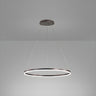 Modern Minimalist Circular LED Dining Room Pendant Light Image - 5