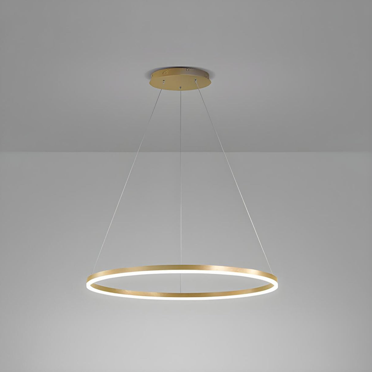 Modern Minimalist Circular LED Dining Room Pendant Light Image - 7